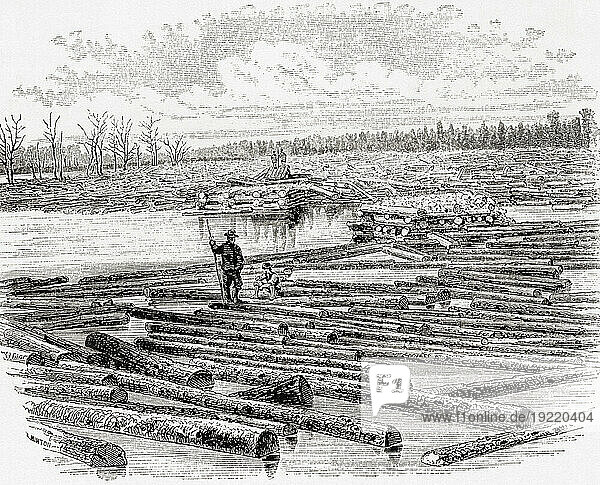 The lumber trade of the west  Chicago  USA  seen here in the 19th century. Down at the boom - a lumber boom also called a log fence or log bag is a barrier placed in a river  designed to collect and or contain floating logs timbered from nearby forests or a place where logs were collected into booms  at the mouth of a river. From America Revisited: From The Bay of New York to The Gulf of Mexico  published 1886.