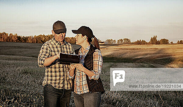 A husband and wife standing in the fields at twilight using a portable wireless device to manage and monitor the yield during their fall  canola harvest; Alcomdale  Alberta  Canada