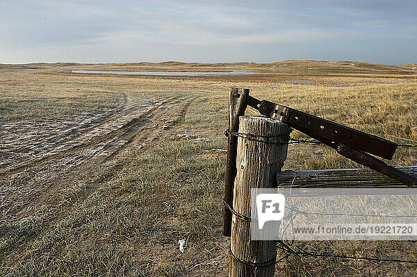 Fence  post and gate latch in the countryside of the Nebraska Sandhills  USA; Sandhills  Nebraska  United States of America