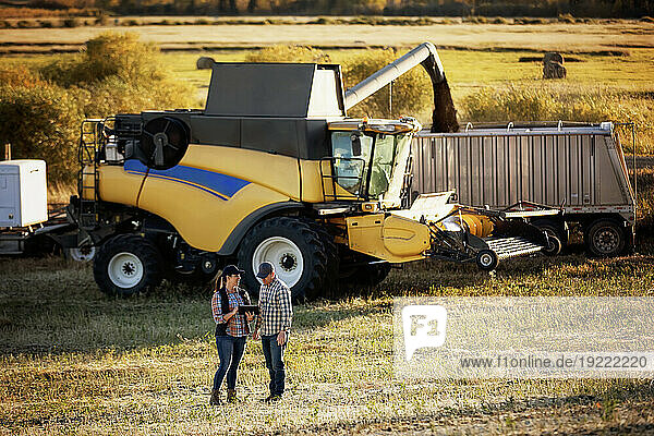 A farm couple standing in a field using a portable  wireless device to manage and monitor the yield during their fall  canola harvest  while a combine harvester offloads into a semi-trailer grain hauler; Alcomdale  Alberta  Canada