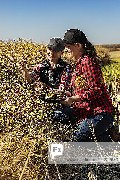 A woman farmer sitting in the fields teaching her apprentice about modern farming techniques for canola crops using wireless technologies and agricultural software; Alcomdale  Alberta  Canada