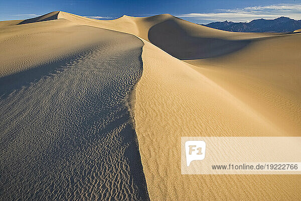 Mesquite Flat Sand Dunes in Death Valley National Park  California  USA; California  United States of America