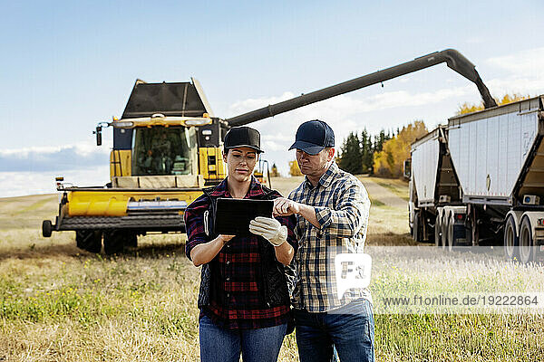 Close-up of a husband and wife using portable wireless device to manage and monitor their canola harvest  while combine harvester offloads grain into a semi-trailer grain hauler in the background; Alcomdale  Alberta  Canada
