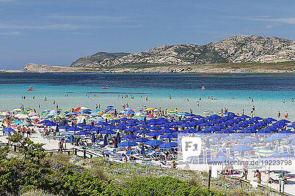 La Pelosa beach  Gulf of Asinara  Stintino  Sassari province  Sardinia  Italy  Mediterranean  Europe