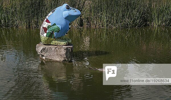 Der Frosch im Teich