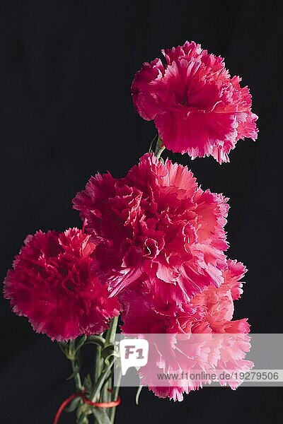 Strauß frischer rosa Blumen