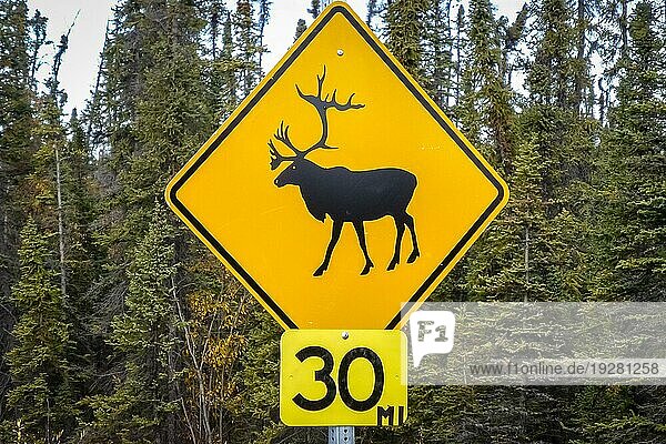 Straßenschild Karibu Kreuzung  Richardson Highway  Alaska