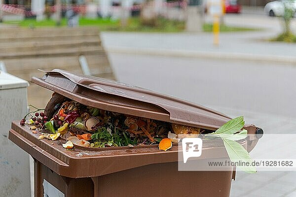 Prall gefüllte kommunale Biomülltonne mit offenem Deckel für biologische organische Abfälle  die nach den Weihnachtsfeiertagen auf offener Straße in einem Wohngebiet steht