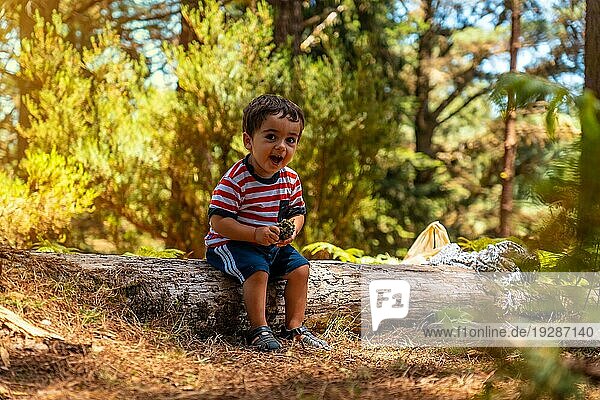 Porträt eines Jungen  der auf einem Baum in der Natur neben Kiefern sitzt und lächelt  Madeira. Portugal