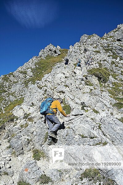 Wanderer  Senior  65  klettert auf die Große Klammspitze  Ammergauer Alpen  Oberbayern  Bayern  Deutschland  Europa