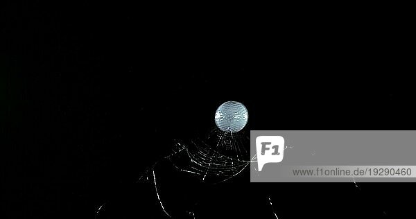 Golfball bricht Glasscheibe vor schwarzem Hintergrund