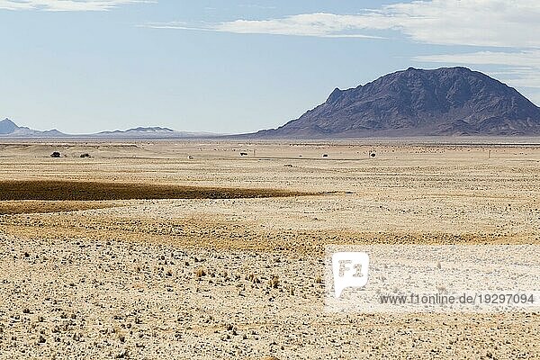 Wüste  desert  Namib-Naukluft Park  südliches Namibia  southern Namibia