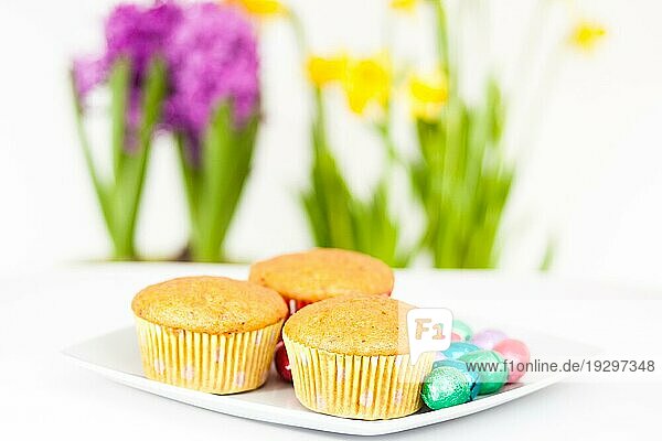 Muffins mit Ostereiern  Muffins with Easter eggs