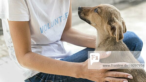 Seitenansicht Rettungshund erhält liebevolle Zuneigung von Frau Tierheim