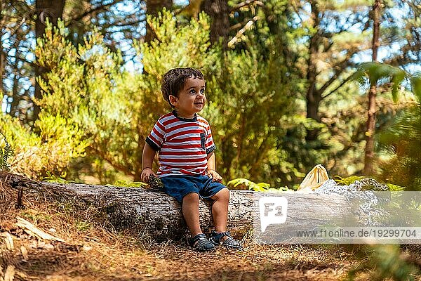 Porträt eines Jungen  der auf einem Baum in der Natur sitzt  neben Kiefern im Herbst  Madeira. Portugal