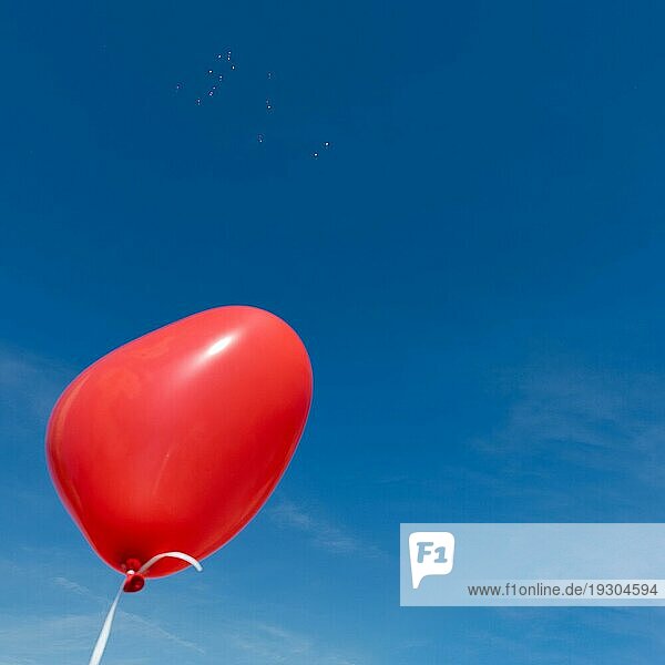 Bunte Luftballons in Herzform mit an Schnüren befestigten Grußkarten  die am Hochzeitstag in den blaün Himmel aufsteigen