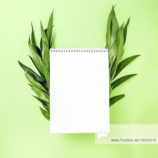 Blanko Spirale Notizblock mit Blättern Seite grünen Hintergrund