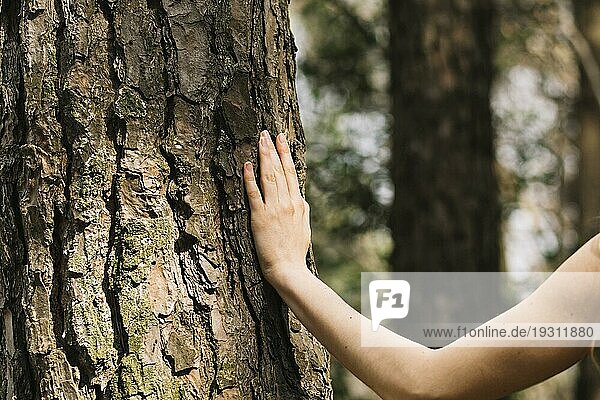 Frau berührt Baum mit Hand