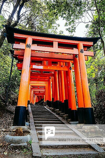 Rotes Tori Tor am Fushimi Inari Schrein in Kyoto  Japan. Eine der größten Touristenattraktionen Japans