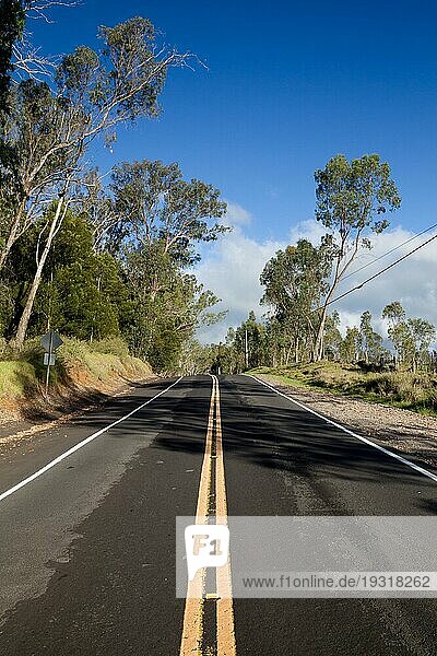 Einsame Landstraße im Norden von Big Island  Hawaii  USA  Nordamerika