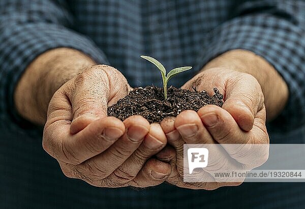 Vorderansicht männliche Hände halten Erde kleine Pflanze