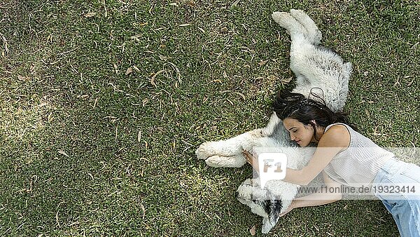 Frau Hund sitzend Gras