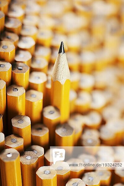 Gespitzter Bleistift inmitten von ungespitzten Bleistiften. Sehr geringe Tiefenschärfe