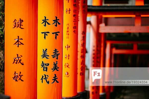 Rotes Tori Tor am Fushimi Inari Schrein in Kyoto  Japan. Eine der größten Touristenattraktionen Japans