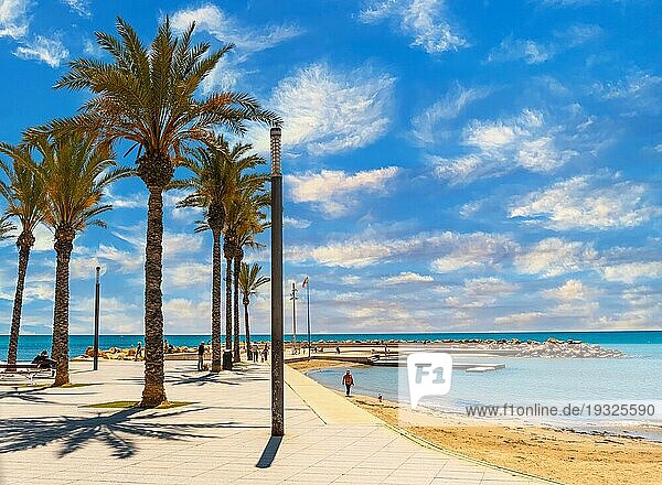 Strand mit Palmen in der Küstenstadt Torrevieja  Alicante  Valencianische Gemeinschaft. Spanien  Mittelmeer