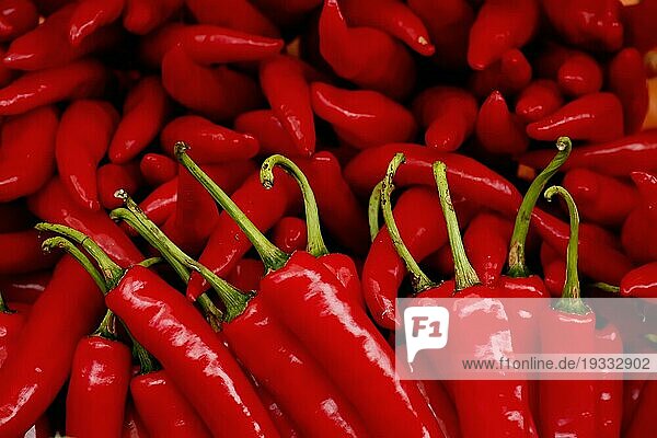 Ein Haufen roter Chili. Die Chili sind leuchtend rot und glänzend. Die Chili haben grüne Stiele und sind unterschiedlich groß und haben unterschiedliche Formen. Der Hintergrund ist mit weiteren Pfeffern gefüllt
