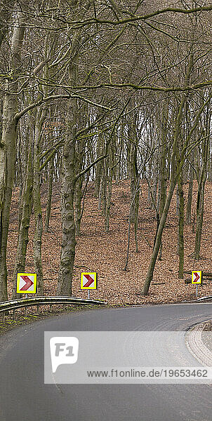 A road turn with flouresecent arrows and signs in a autumn forest in the Netherlands.