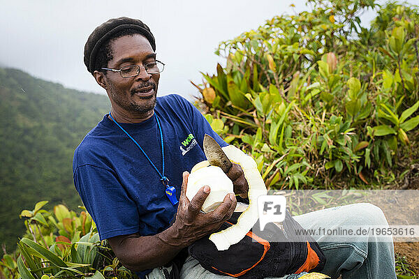 A man cuts up a grapefruit with a large knife on the hike to Boiling Lake in the Morne Trois Pitons National Park on the Caribbean island of Dominica.
