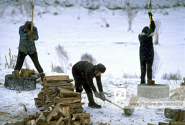 School boys chopping wood.