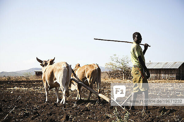 Local farmers work in the field in the remote Omo valley  Ethiopia.