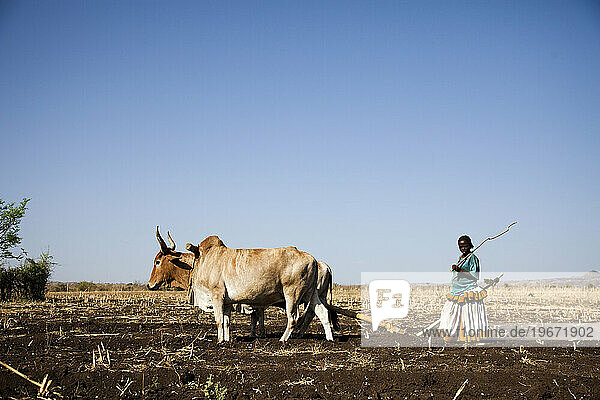 Local farmers work in the field in the remote Omo valley  Ethiopia.