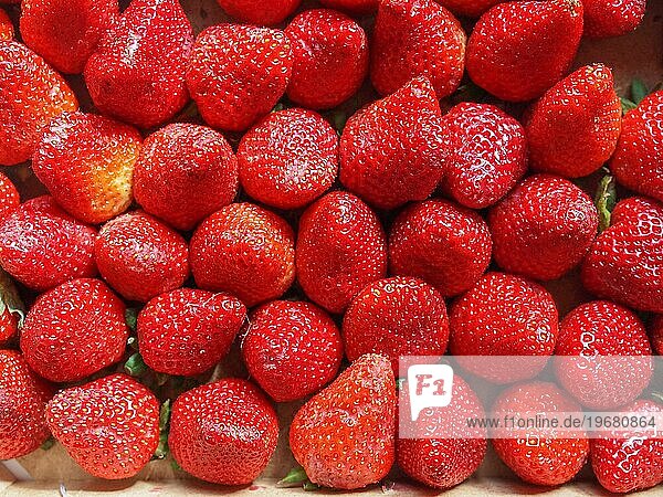 Erdbeere (Fragaria)  auch Gartenerdbeere genannt  oder in einer Obstkiste