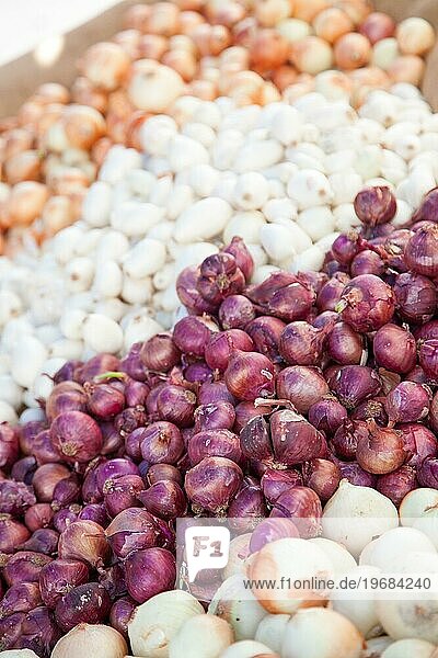 Bunte Vielfalt an frisch geernteten Bio Zwiebeln auf dem Bauernmarkt