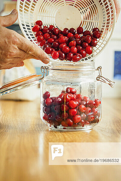 Man Pouring Cherries in a Mason Jar  Close-up view