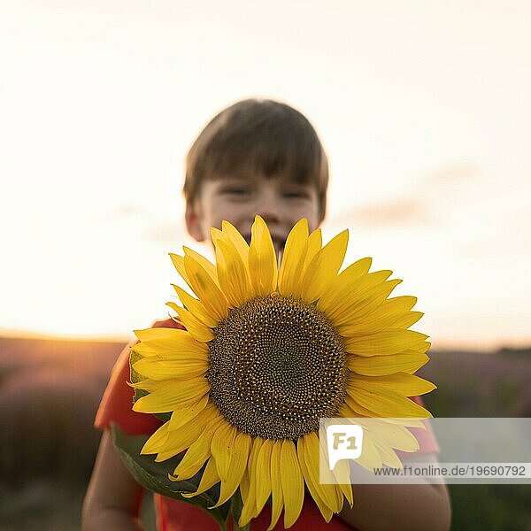 Mittlere Einstellung Kind hält Sonnenblume