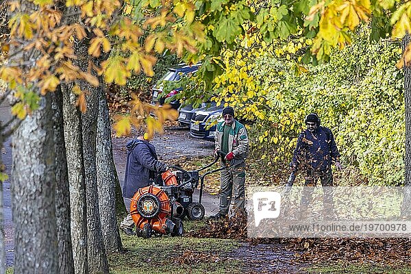 Herbst ist die Zeit von Laubbläsern  wenn in Parks und Gärten das Laub von den Bäumen fällt  wird es mit Gartengeräten beseitigt  Stuttgart  Baden-Württemberg  Deutschland  Europa
