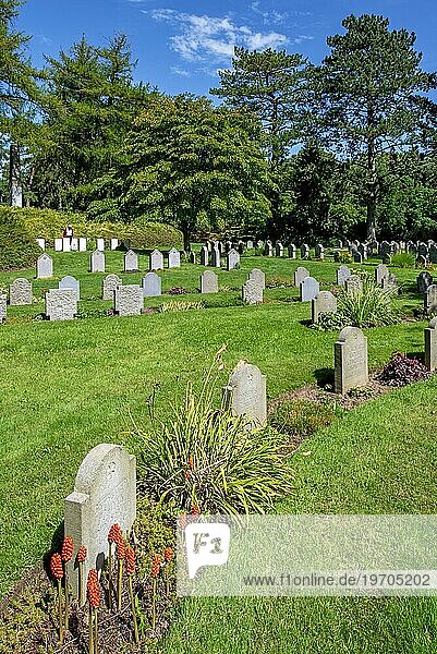 Deutsche Gräber aus dem Ersten Weltkrieg auf dem Soldatenfriedhof St. Symphorien  Gräberfeld des Ersten Weltkriegs in Saint Symphorien bei Mons  Provinz Hennegau  Belgien  Europa