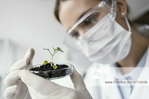 Nahaufnahme Wissenschaftler mit Pflanze