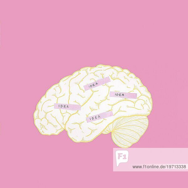 Idea Label Gehirn rosa Hintergrund