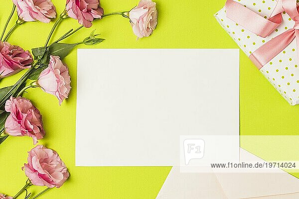 Blank Grußkarte Geschenk rosa eustoma Blume hellgrün Hintergrund