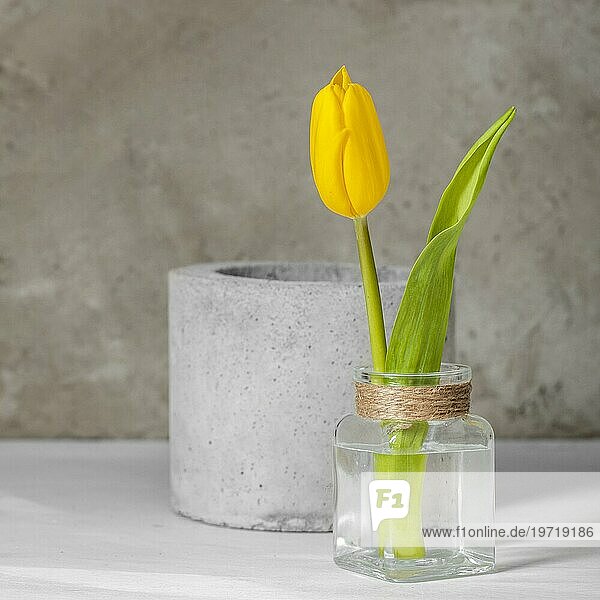 Vorderansicht gelbe Tulpe Vase