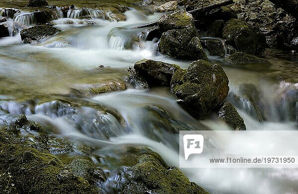Mountain stream and mossy stones  long exposure  Neuhaus  Schliersee  Josefstal  Upper Bavaria  Bavaria