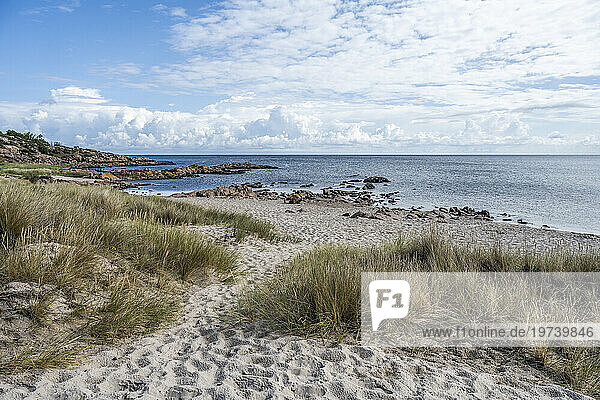 Denmark  Bornholm  Sandvig beach with Baltic Sea in background