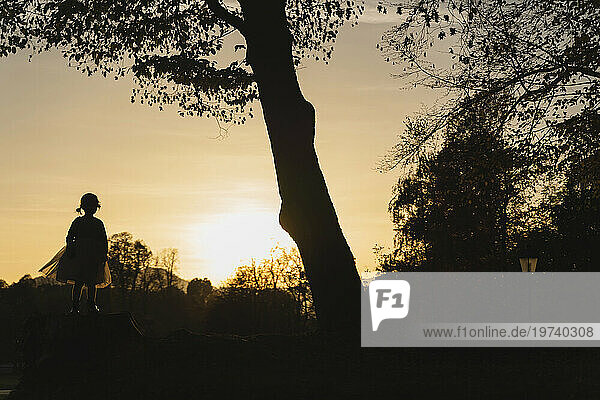 Silhouette of girl standing under tree at sunset