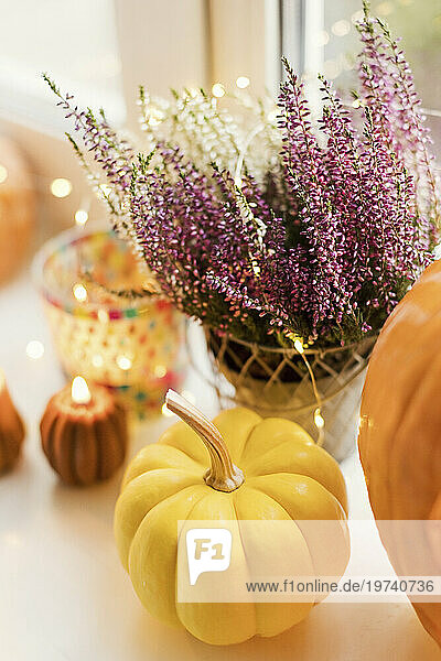 Decoration of pumpkins and flowers with lights on Halloween