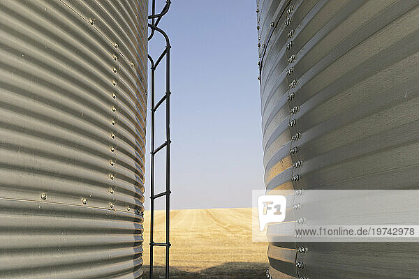 Close-up detail of the metal siding of two grain bins and a ladder with a view of the golden farmland; Alberta  Canada